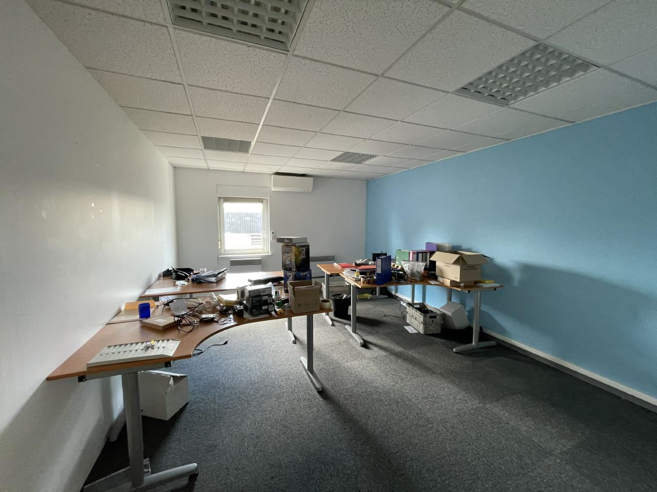 Local d'activité Mundolsheim 576m² Location local d'activité Mundolsheim Bas-Rhin OLACT2423735 13